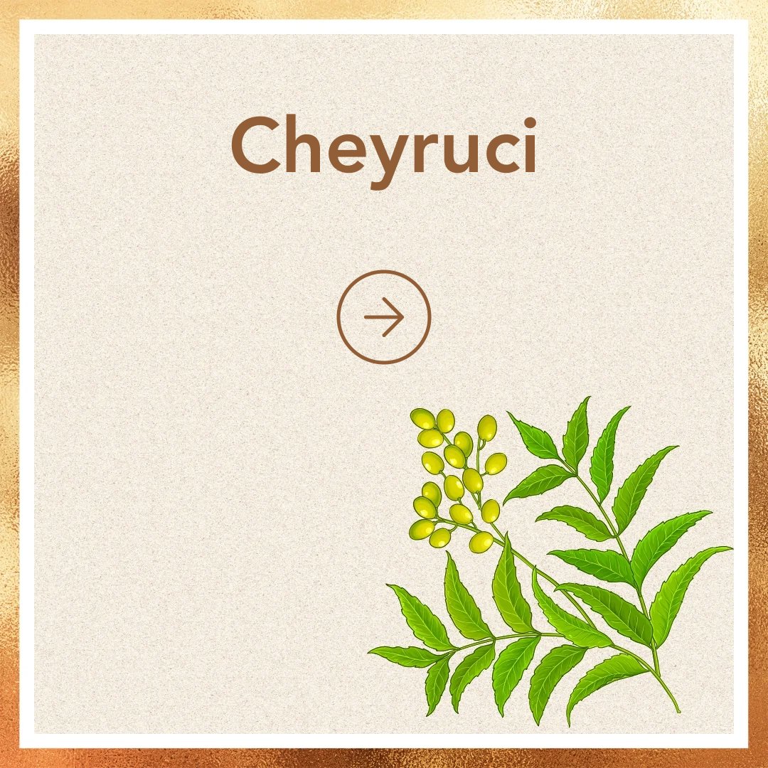Cheyruci