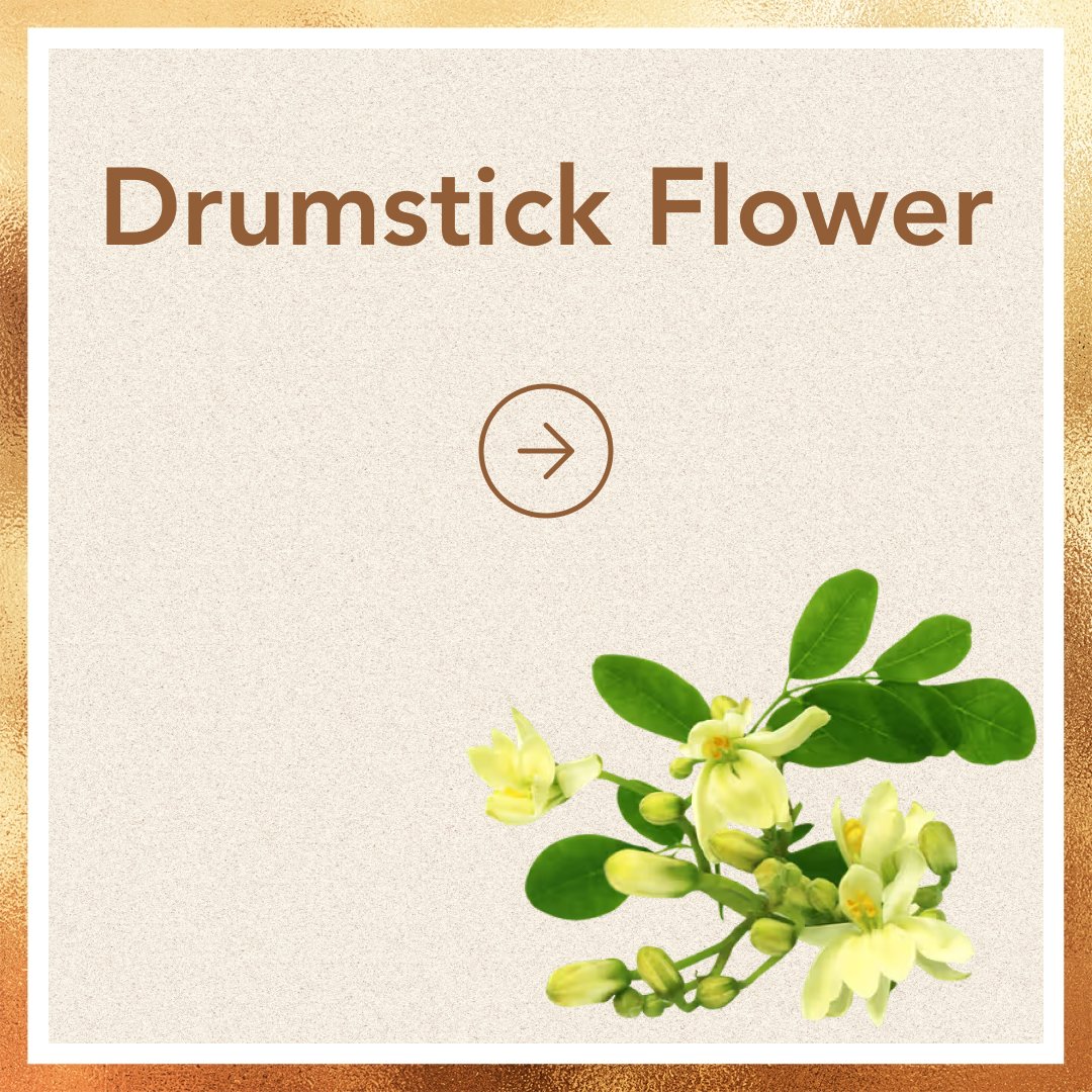 Drumstick Flower