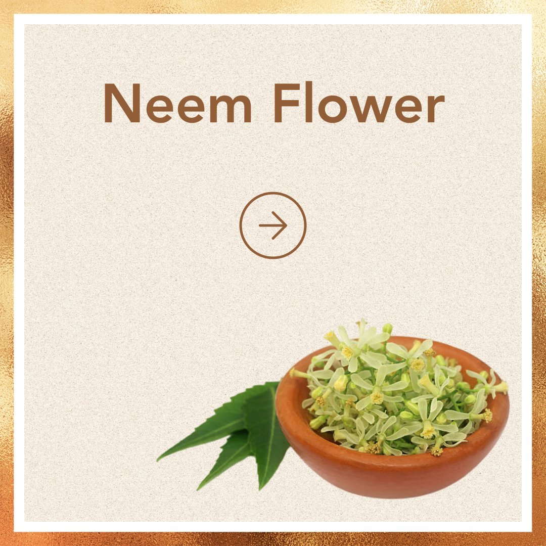 Neem Flower