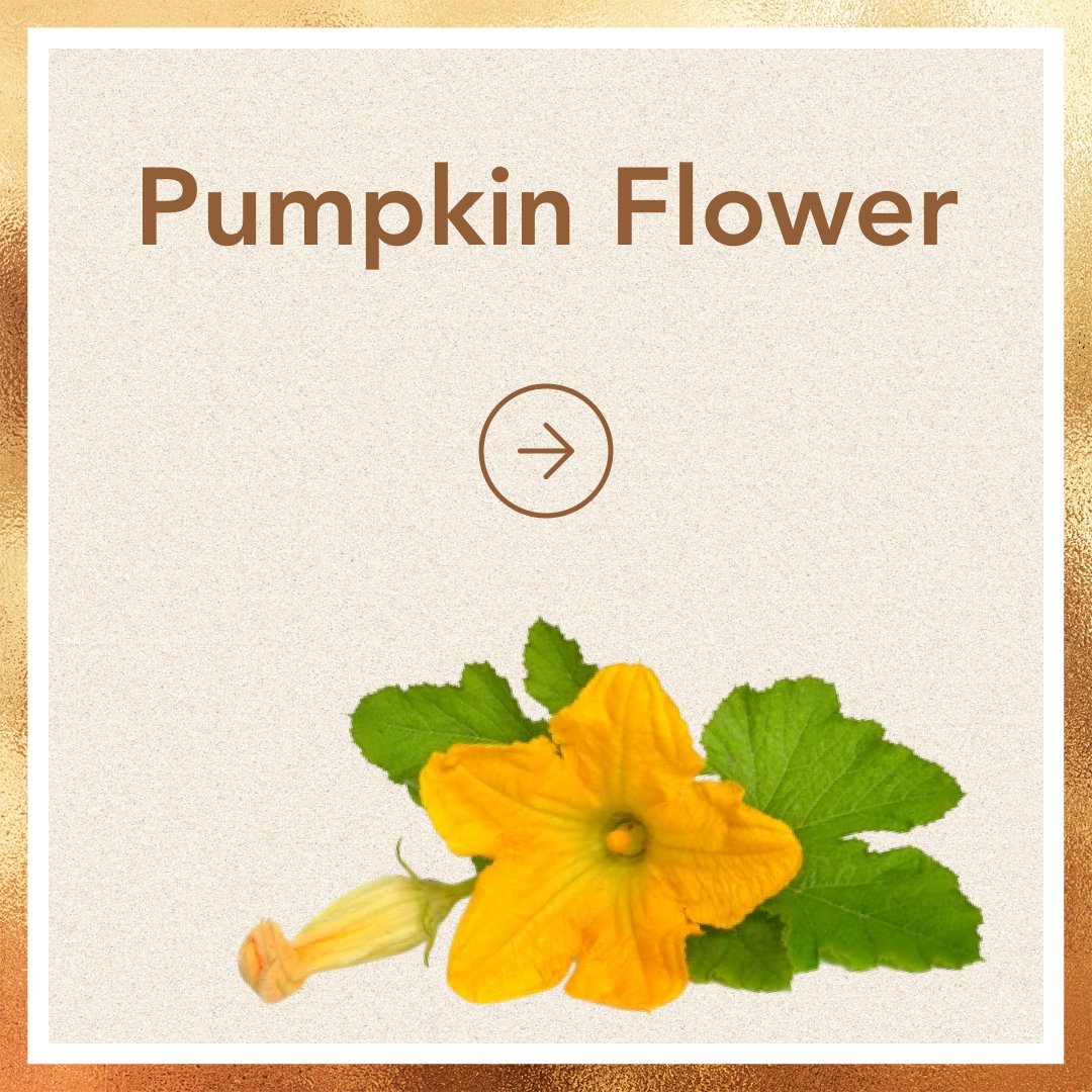 Pumpkin Flower